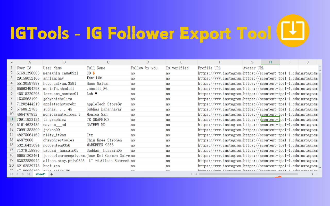 IGTools - IG Follower Export Tool