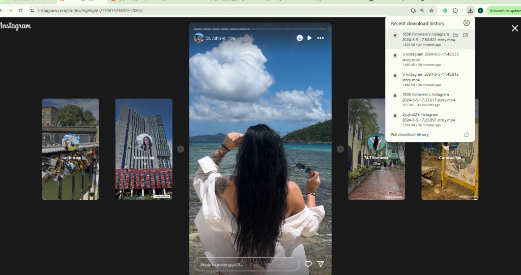Instagram story downloader