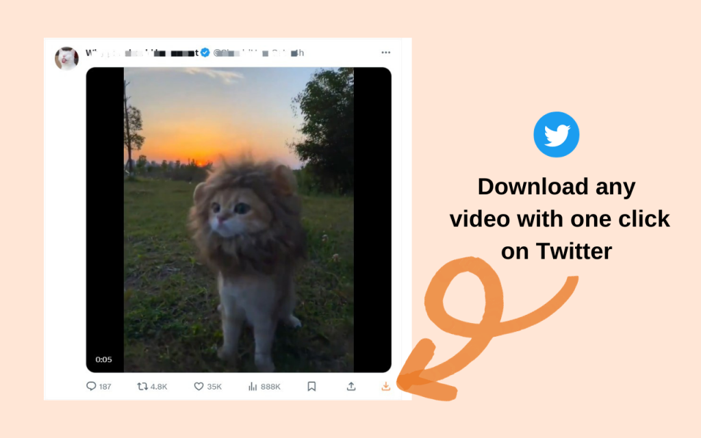 twitter video downloader